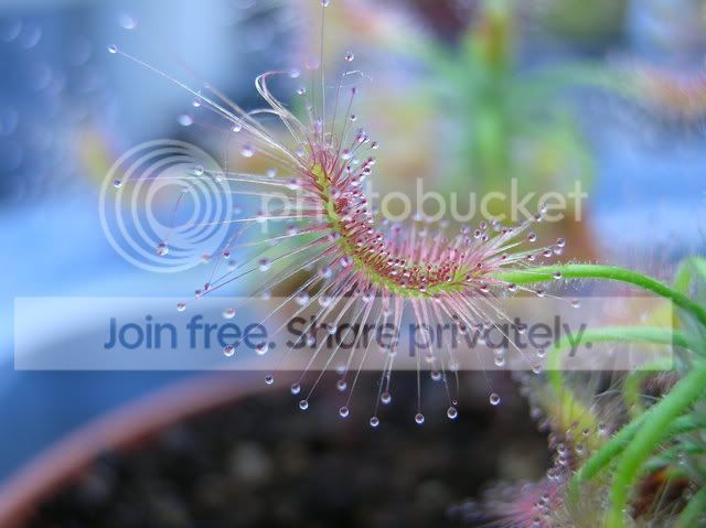 DSCN6286.jpg