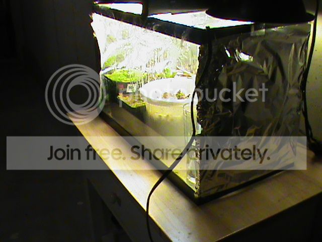 DSC00631_zpsc7f1c99b.jpg