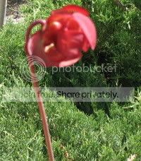 purpflower.jpg