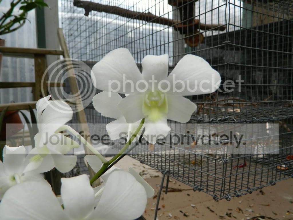 DSCN0121.jpg