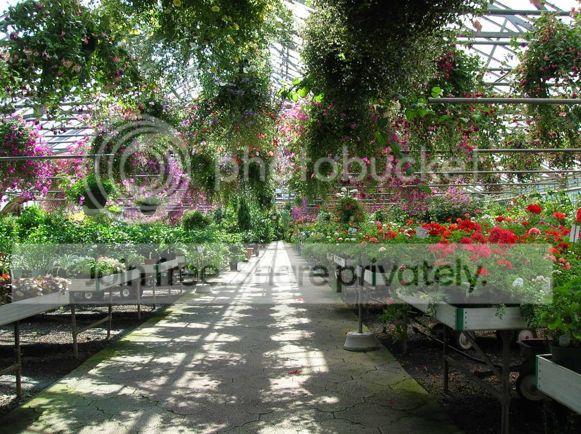 OttsGreenHouse-1.jpg