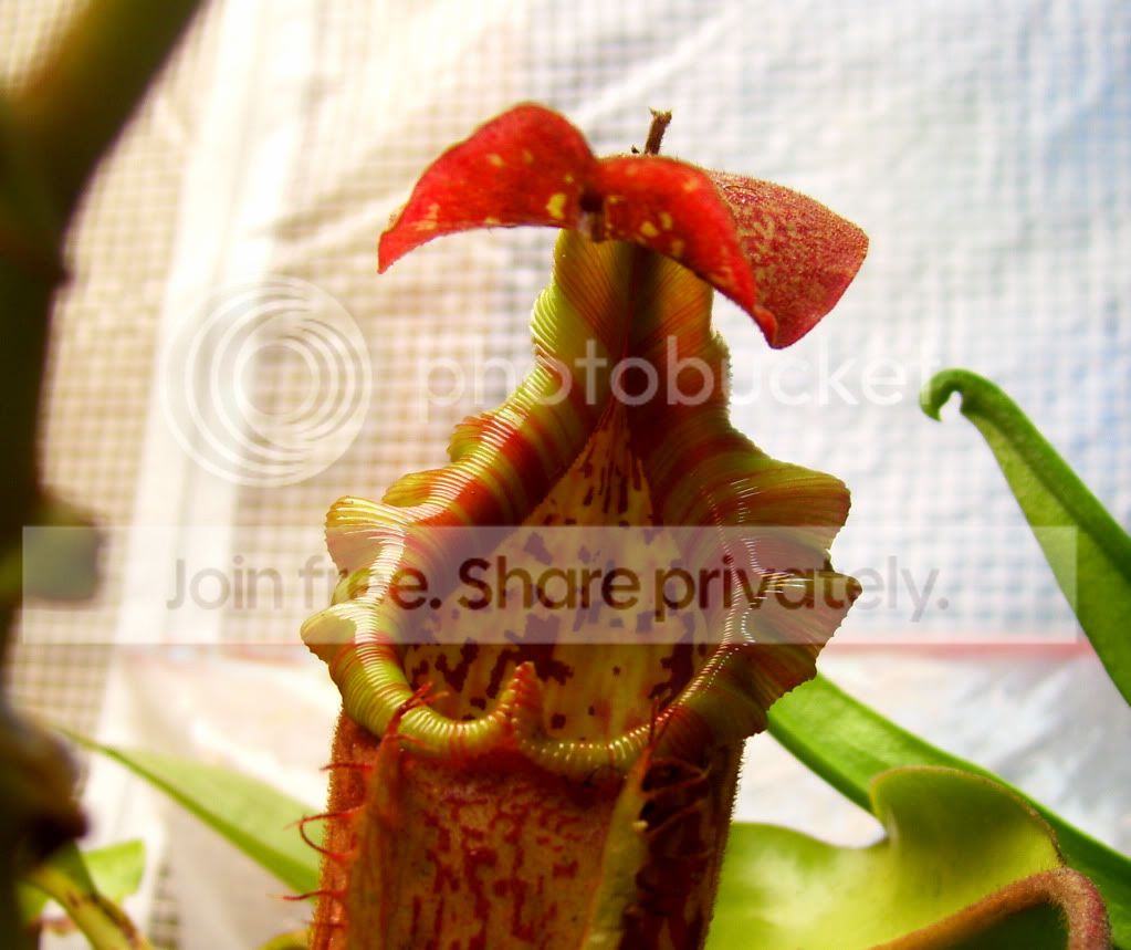 100_8176.jpg