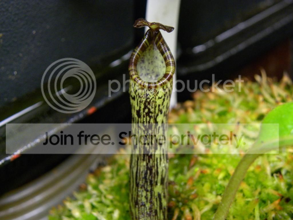 019_zps7fdff2f6.jpg