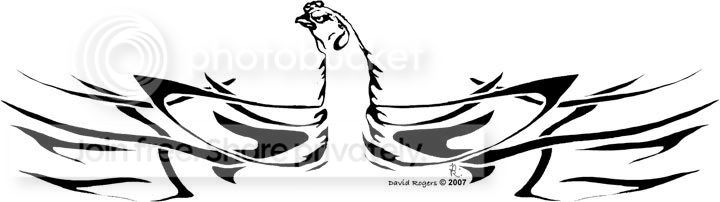 shamo-wings.jpg