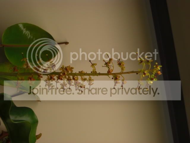 Picture273.jpg