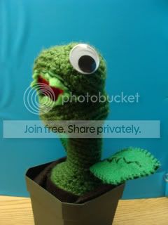 DSC01345-1.jpg