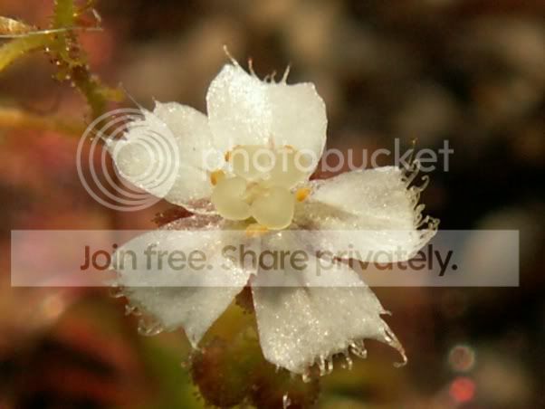 PICT0012.jpg