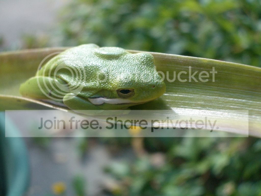 IMGP8920.jpg