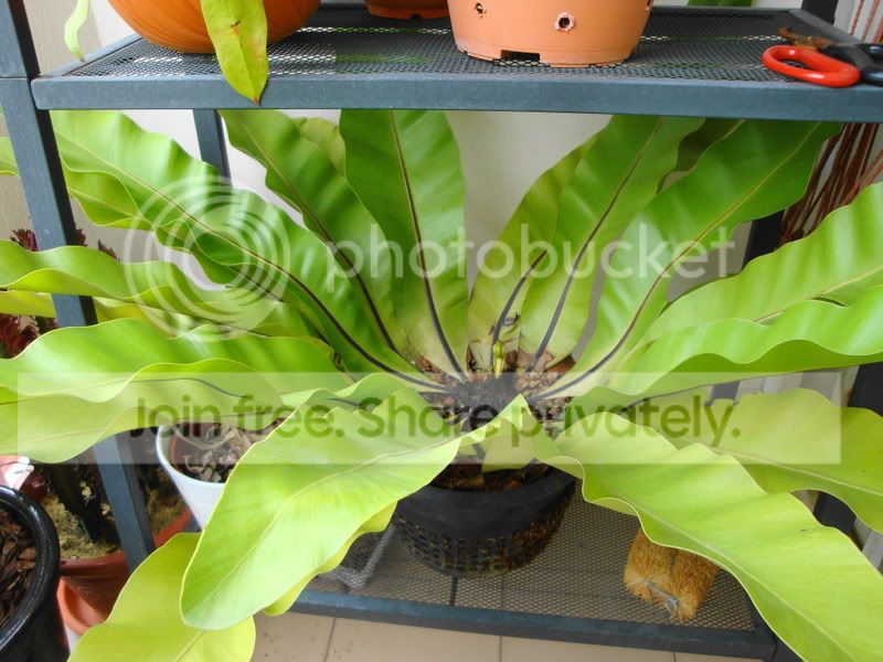 DSC08259.jpg