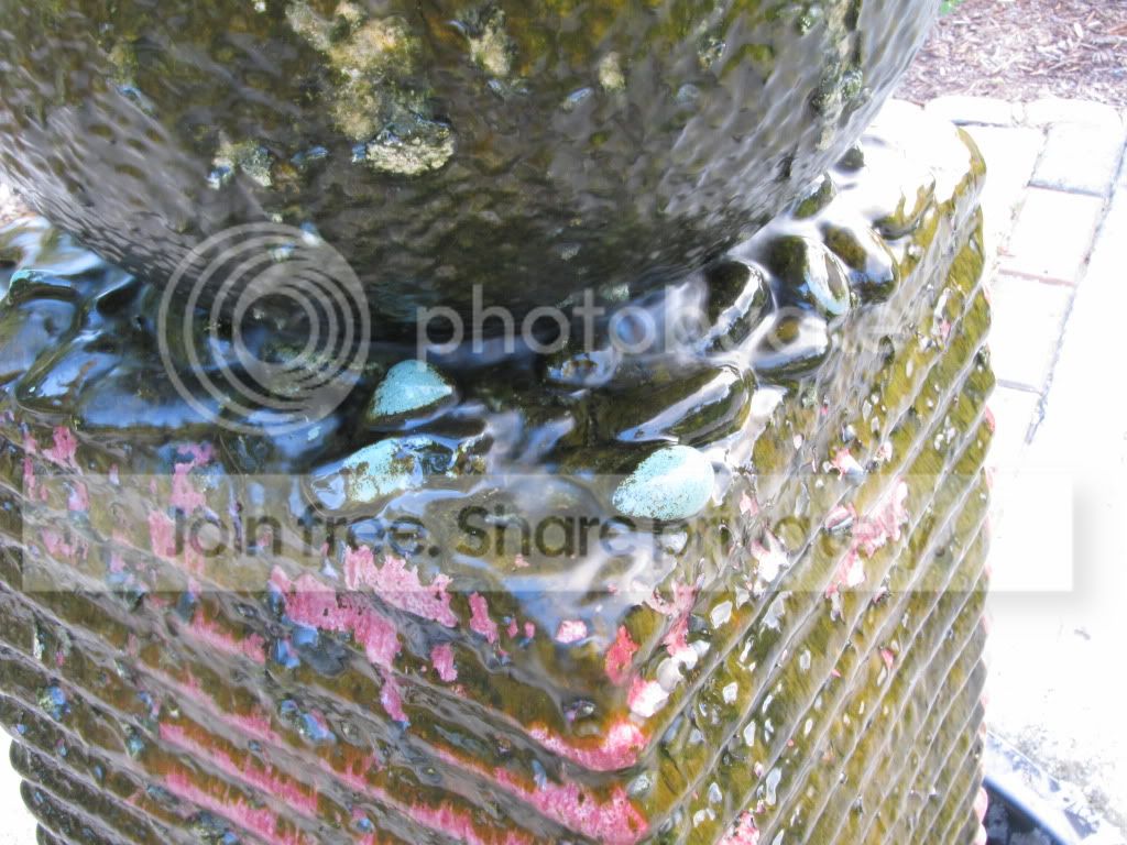 IMG_6699.jpg