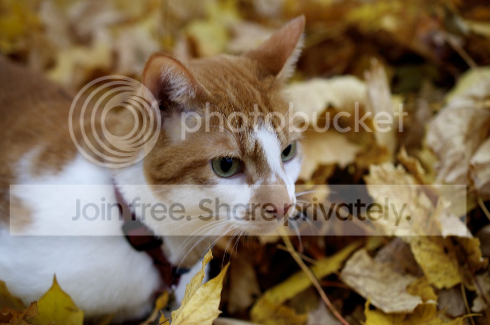 DSC_0012.jpg