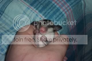 Scubee15days002.jpg