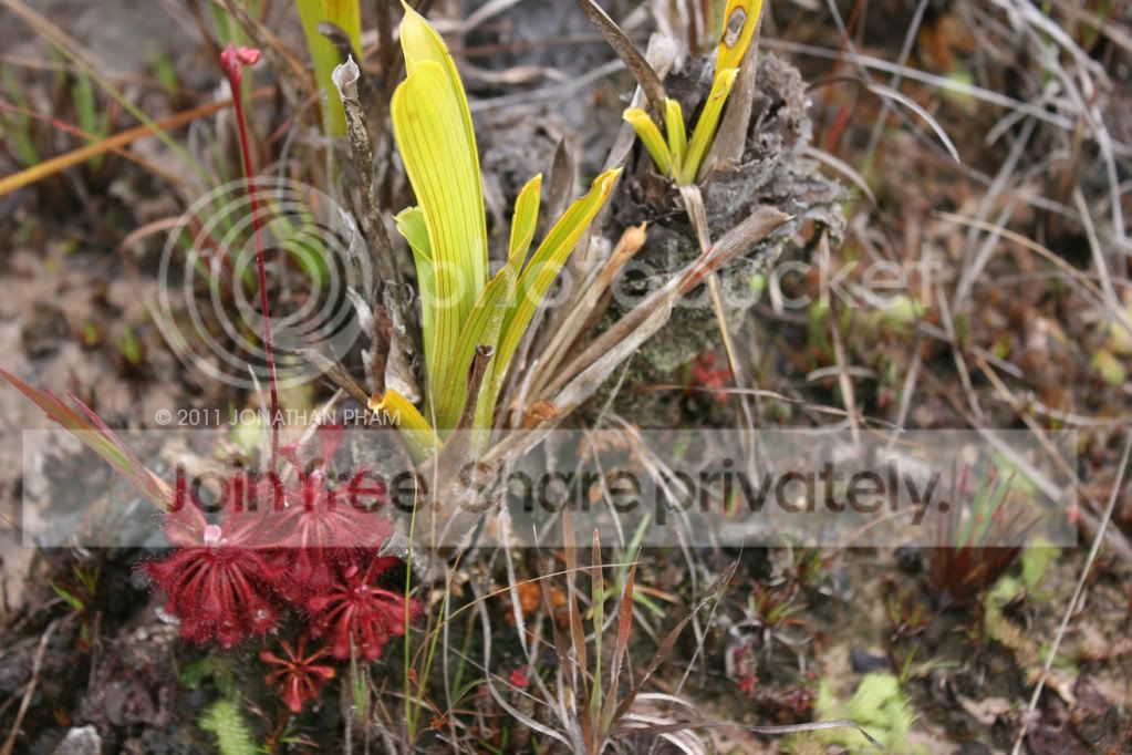 IMG_0731.jpg
