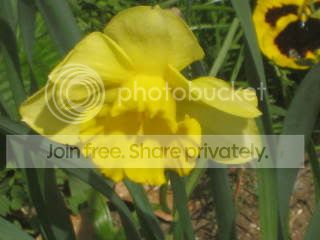Spring2009009.jpg
