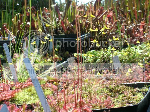 DSCN0312.jpg