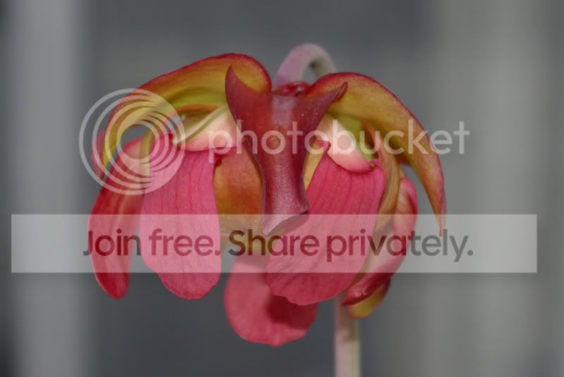 _IGP0090a.jpg