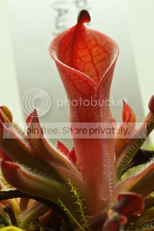 2_zps879b9539.jpg