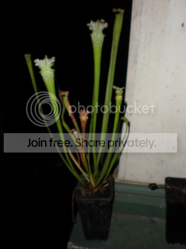 DSCN7202.jpg