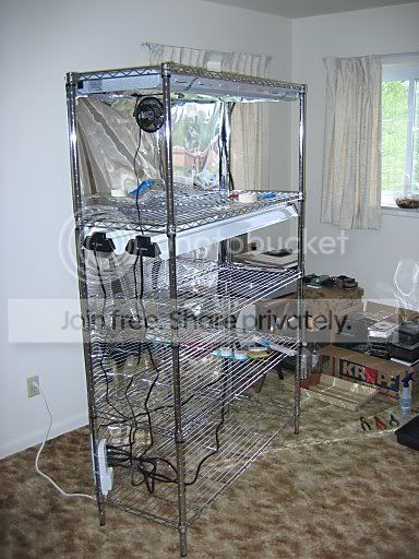 grow_rack_04.jpg