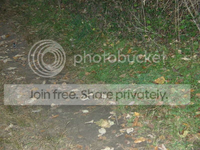 dscn2318.jpg
