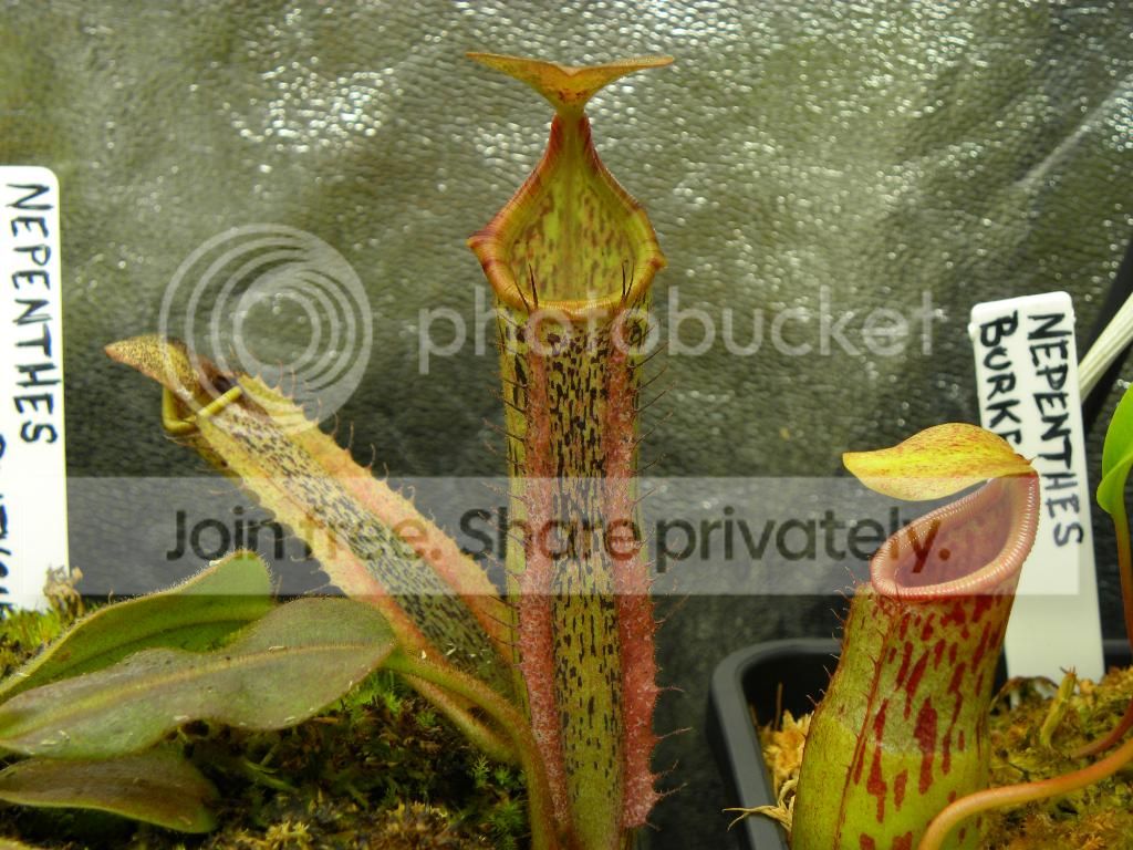 002_zps258a82b7.jpg