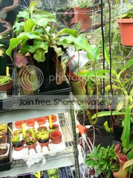 Growroom8.jpg