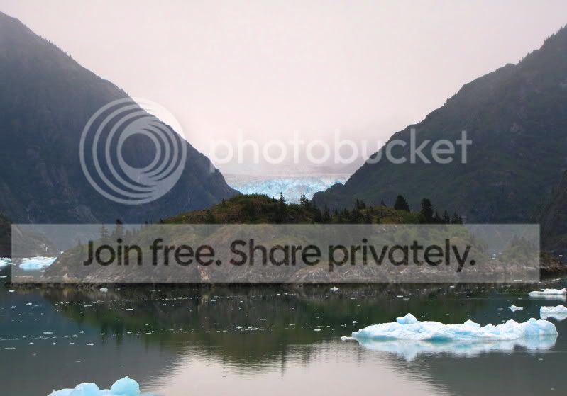 IMG_0124_zpsb56866a0.jpg