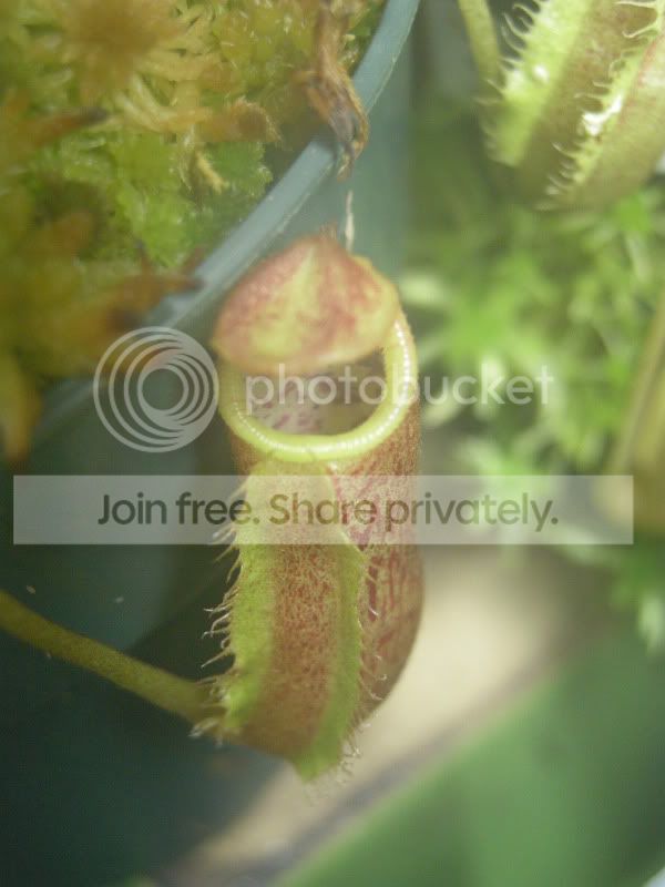 DSCN6830.jpg