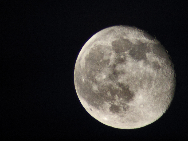 moon_vivis.jpg
