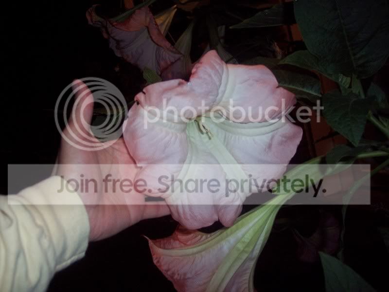 100_4303.jpg