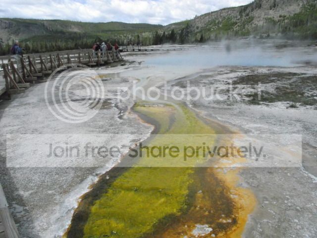 DSCF2117.jpg