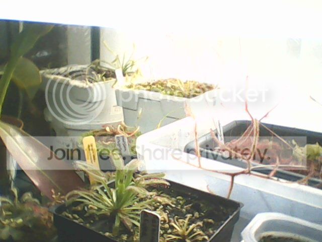 081212-1239.jpg
