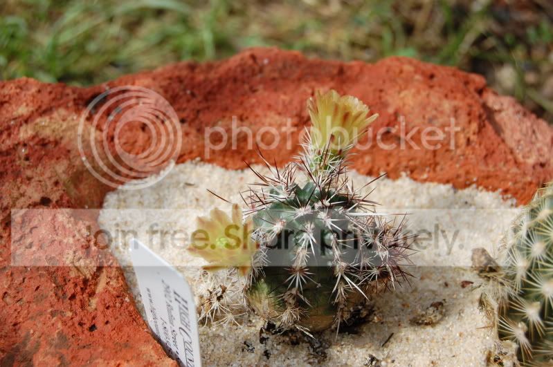 DSC_0154.jpg