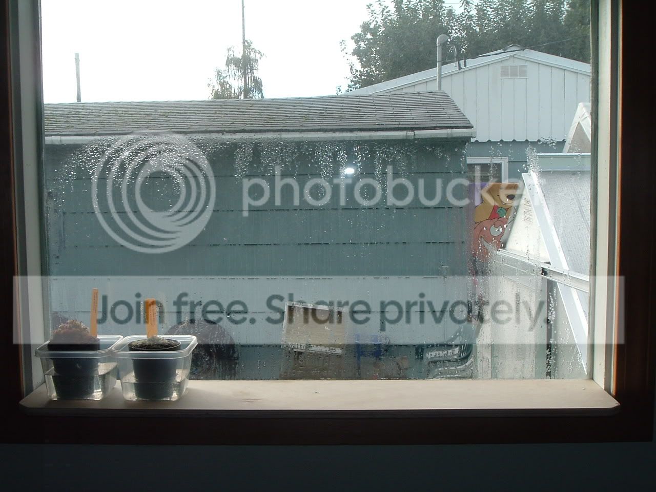 DSCF1365.jpg