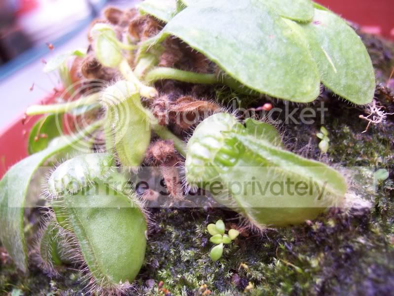 100_6588.jpg