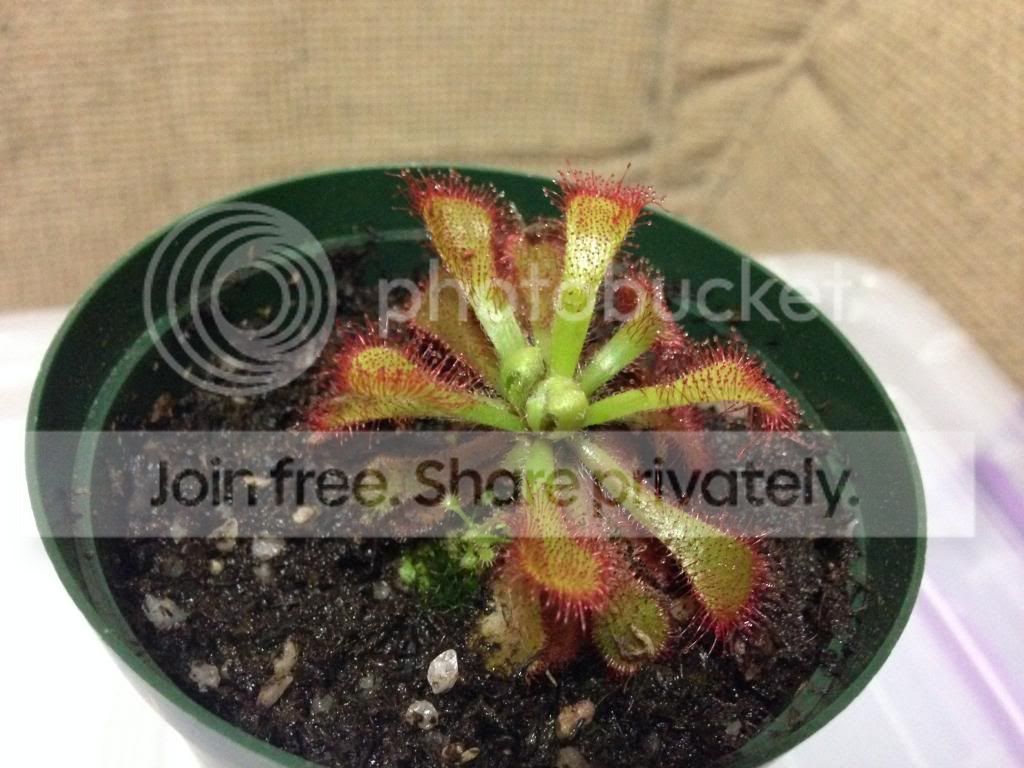 3788.jpg