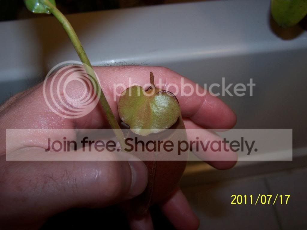 100_4889.jpg