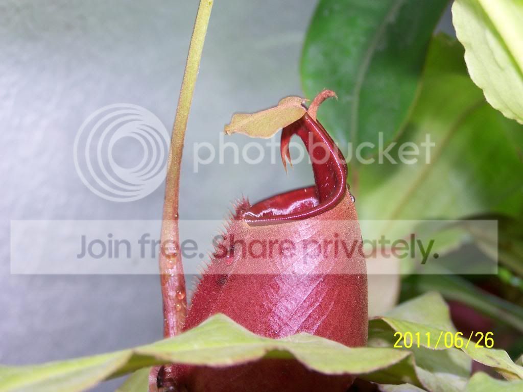 100_4731.jpg