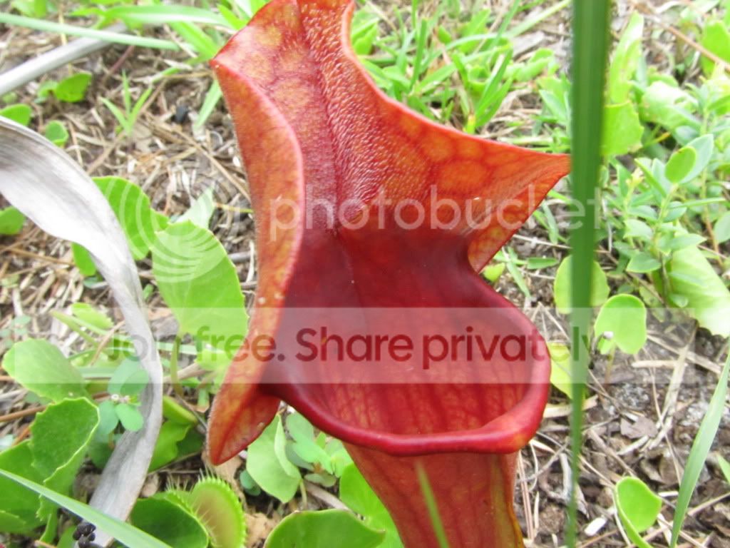 IMG_6425.jpg