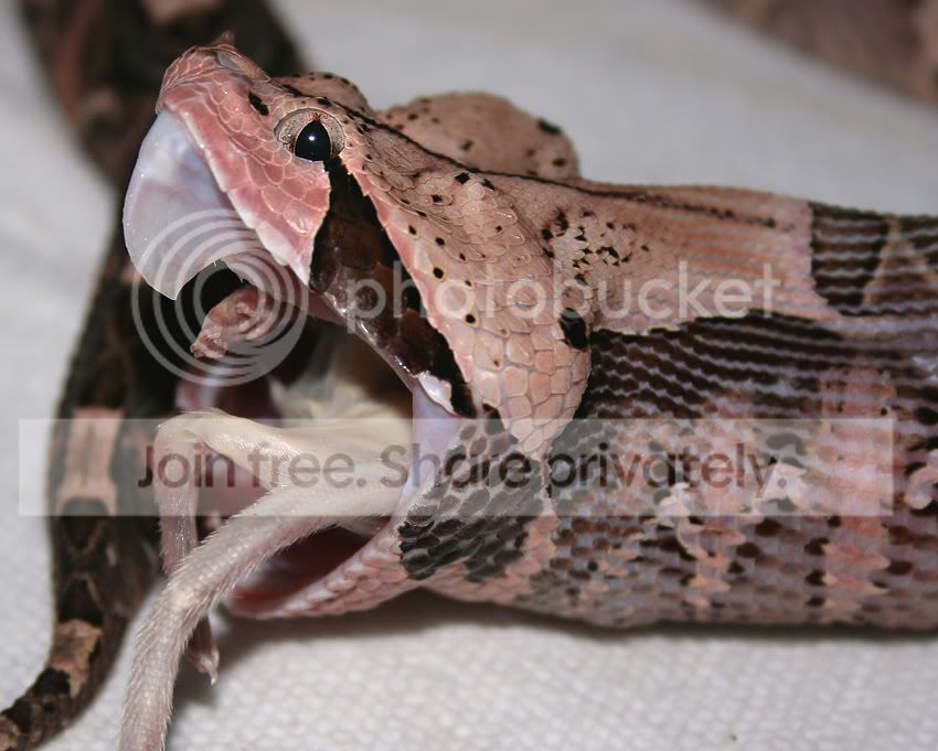 GabbyFeeding12-20_3271.jpg