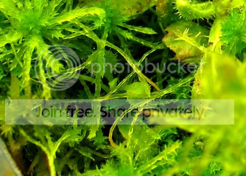 IMG_6028.jpg