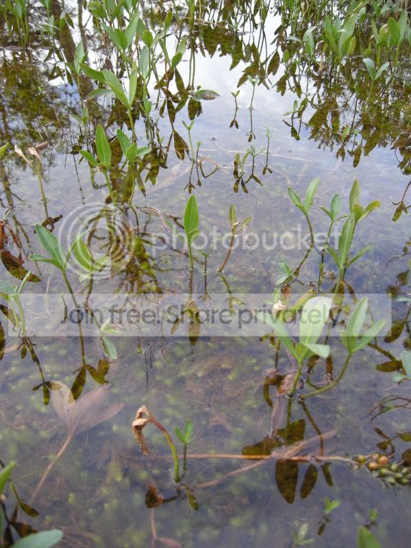 DSCN6168.jpg