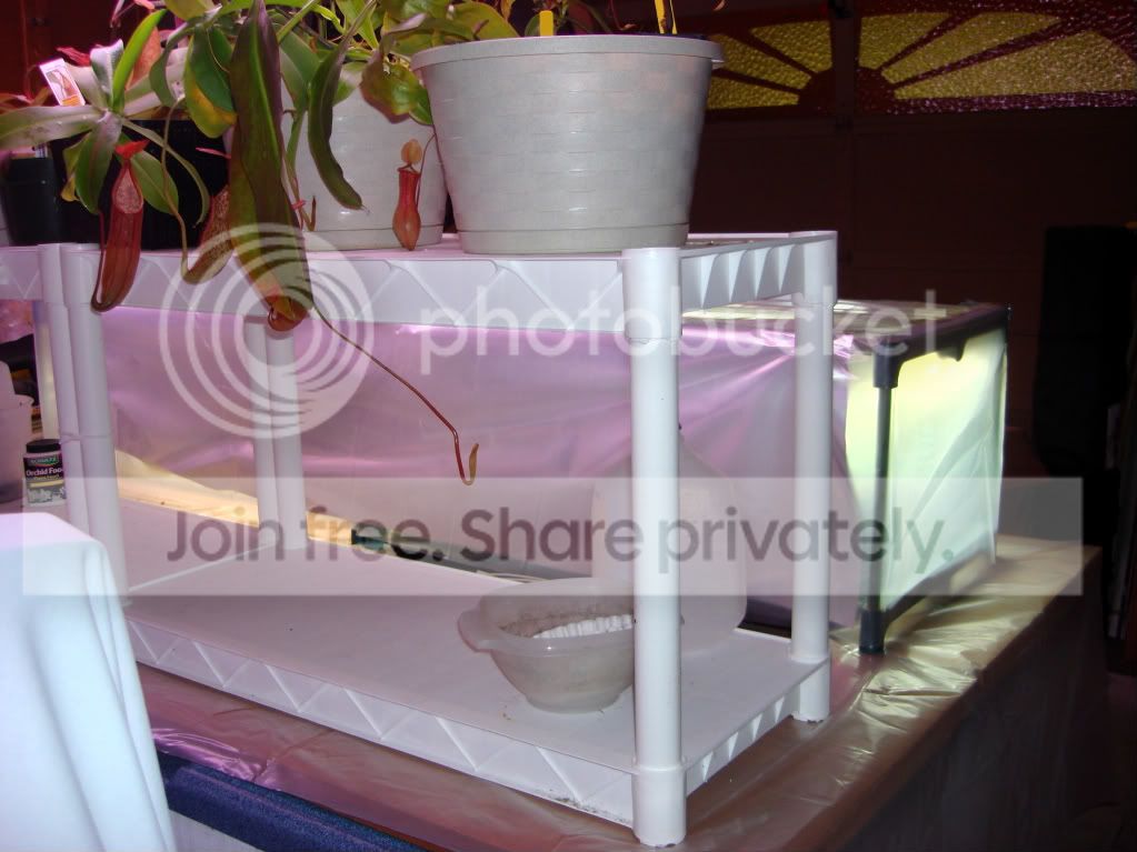 CPs10-11-09002.jpg
