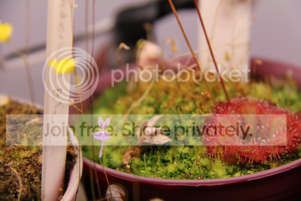 IMG_4277.jpg
