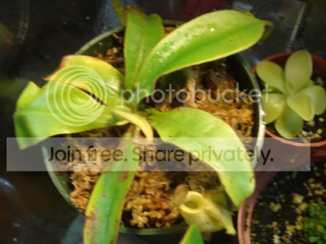 DSC01648.jpg