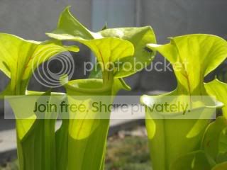 DSCN0237-3.jpg