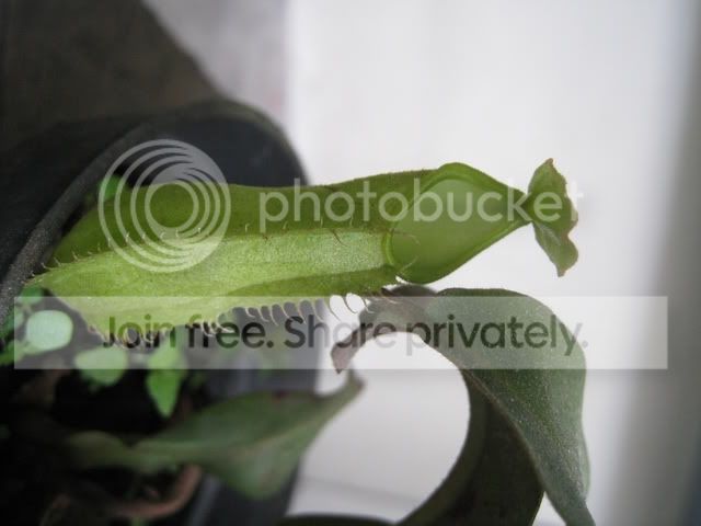 IMG_7679.jpg