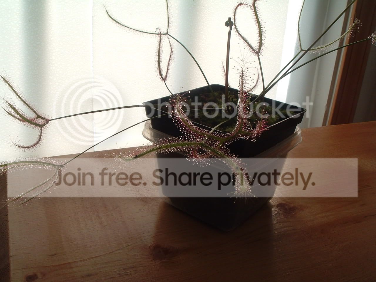 DSCF2280.jpg