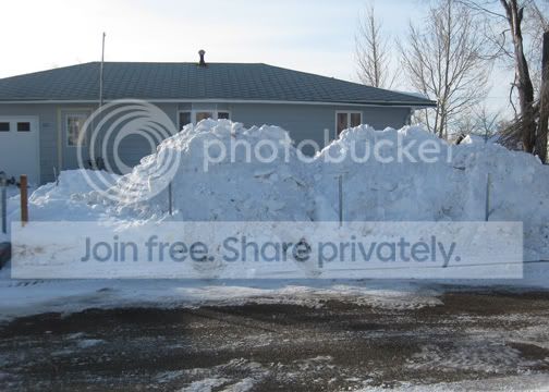 IMG_1110.jpg