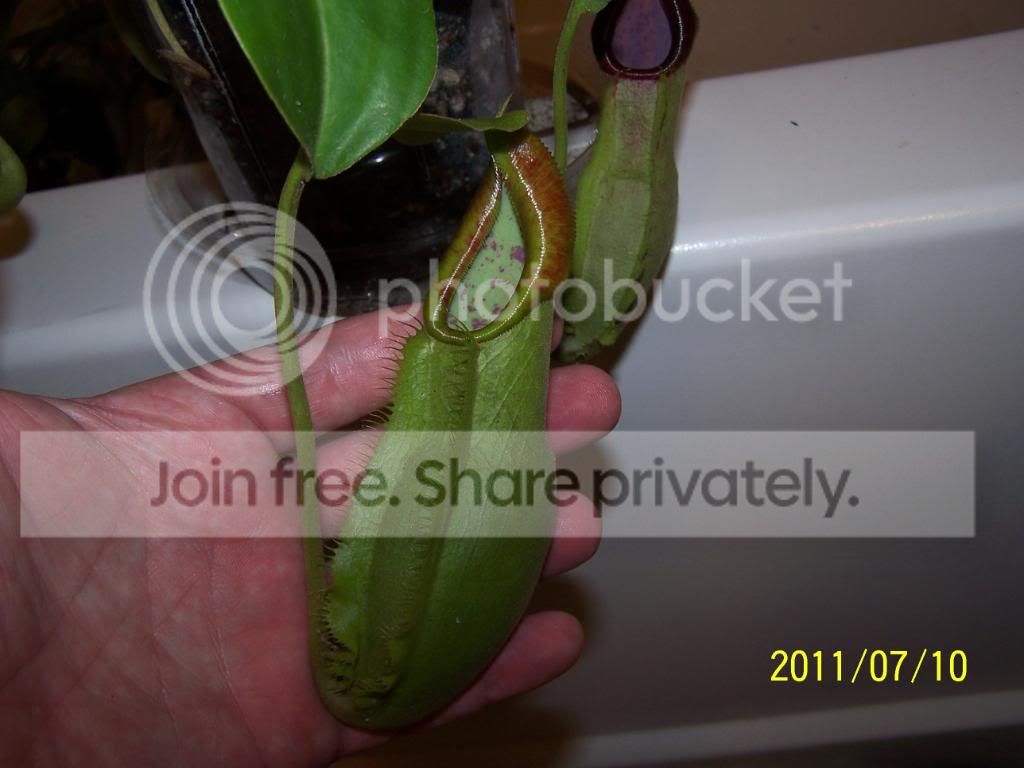 100_4781.jpg